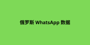 俄罗斯 whatsapp 数据