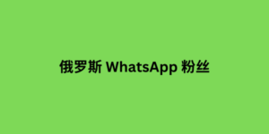 俄罗斯 whatsapp 粉丝