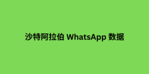 沙特阿拉伯 whatsapp 粉丝