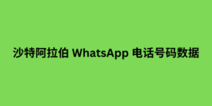 沙特阿拉伯 whatsapp 电话号码数据