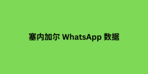 塞内加尔 whatsapp 数据