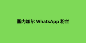 塞内加尔 whatsapp 粉丝